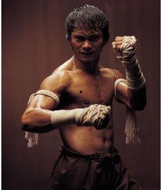 泰国电影明星托尼贾,托尼贾的银幕征途